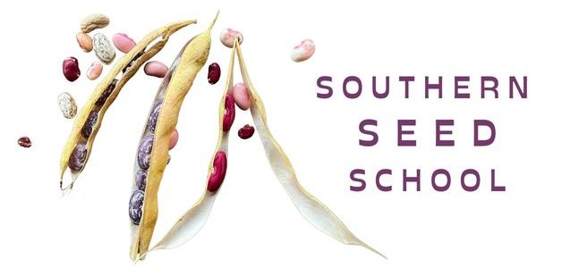 seed school banner