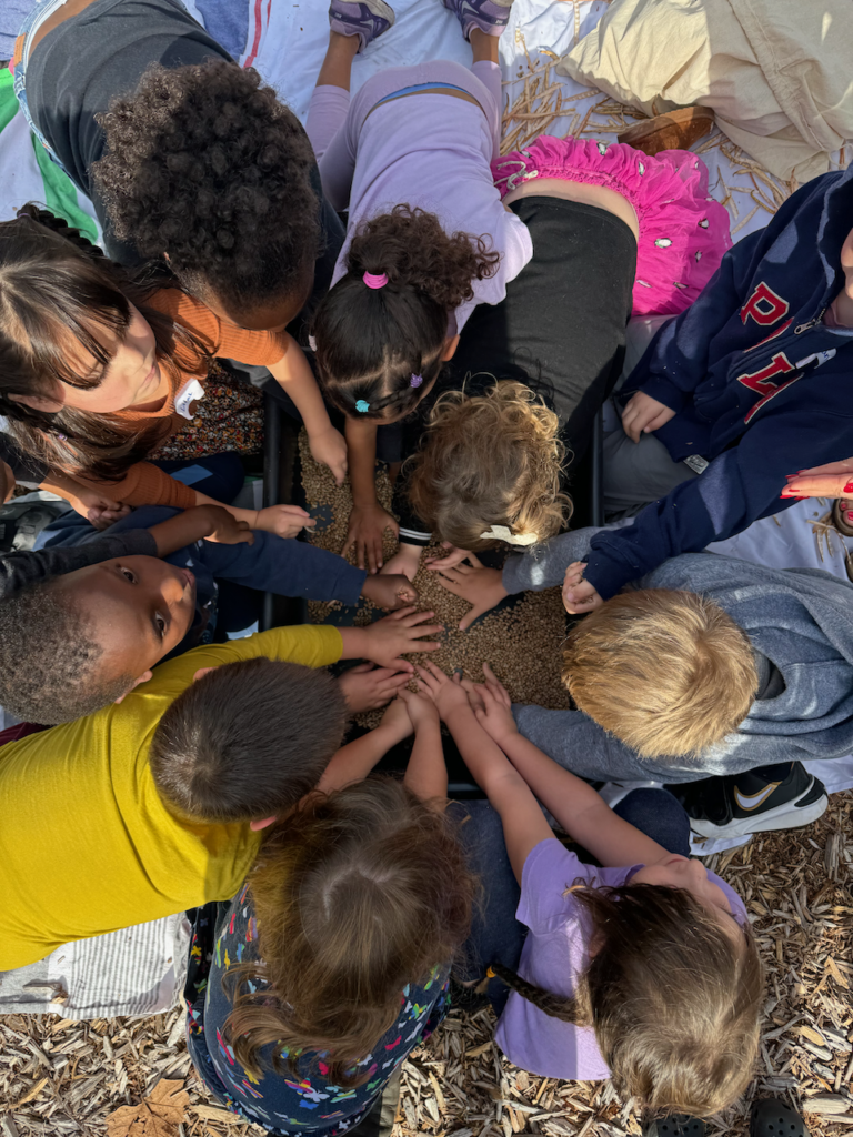 an overhead image of children gathering in a circle to process seeds